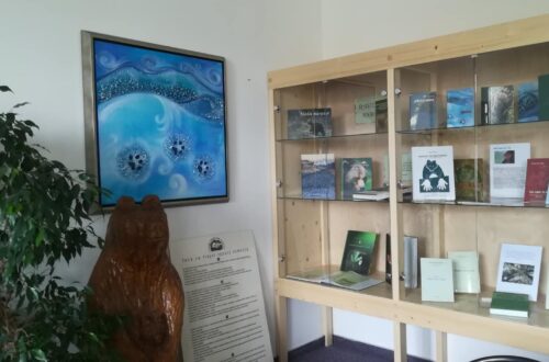 62111404_312175446351094_2027857143675224064_n